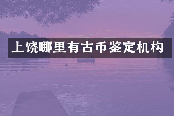 上饶哪里有古币鉴定机构