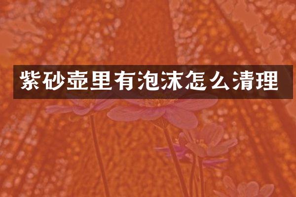 紫砂壶里有泡沫怎么清理