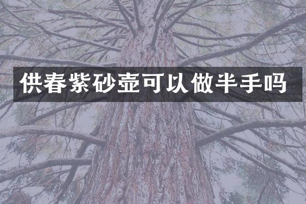 供春紫砂壶可以做半手吗