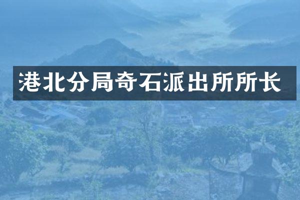 港北分局奇石派出所所长