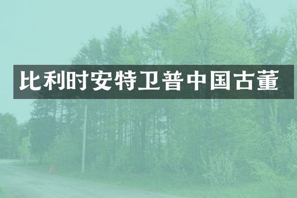 比利时安特卫普中国古董