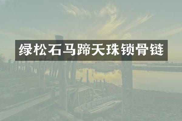 绿松石马蹄天珠锁骨链