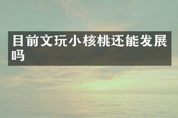 目前文玩小核桃还能发展吗