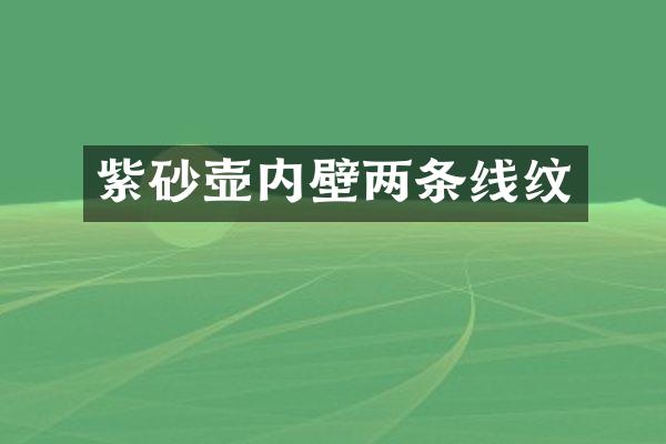 紫砂壶内壁两条线纹