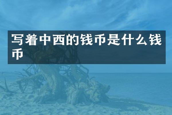 写着中西的钱币是什么钱币