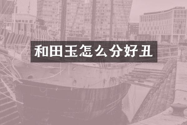 和田玉怎么分好丑