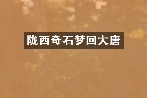 陇西奇石梦回大唐