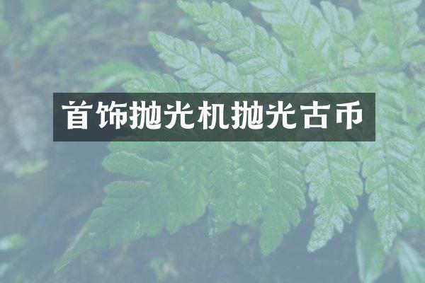 首饰抛光机抛光古币