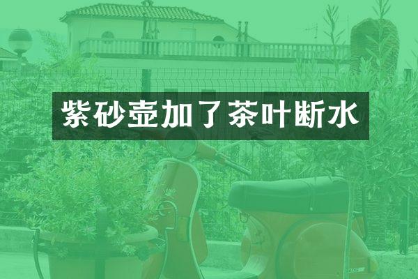 紫砂壶加了茶叶断水
