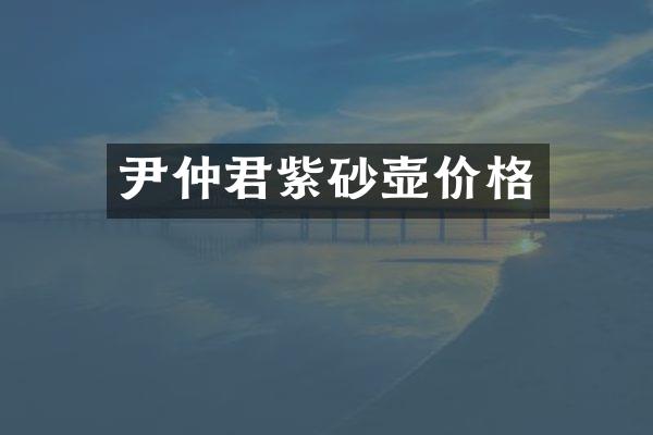 尹仲君紫砂壶价格