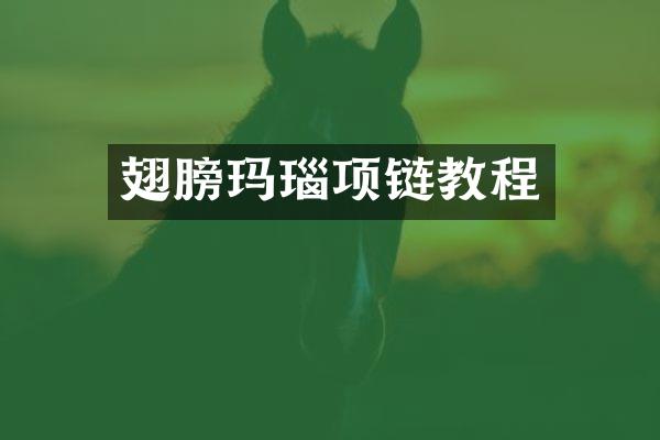 翅膀玛瑙项链教程