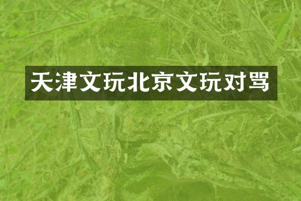 天津文玩北京文玩对骂