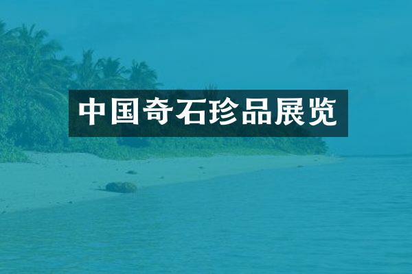 中国奇石珍品展览