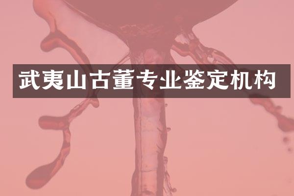 武夷山古董专业鉴定机构