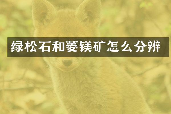 绿松石和菱镁矿怎么分辨