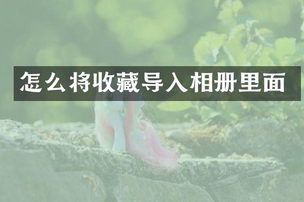 怎么将收藏导入相册里面