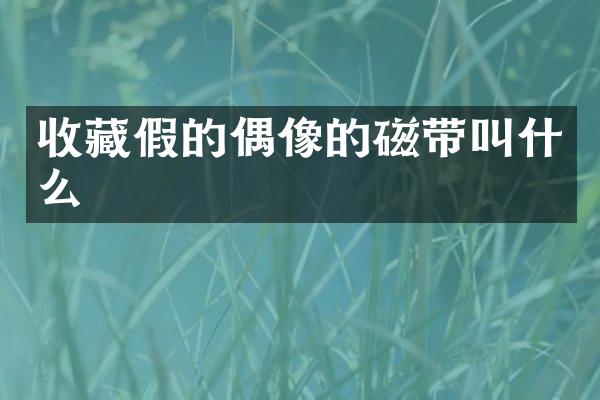 收藏假的偶像的磁带叫什么