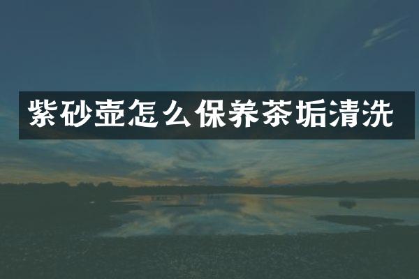 紫砂壶怎么保养茶垢清洗