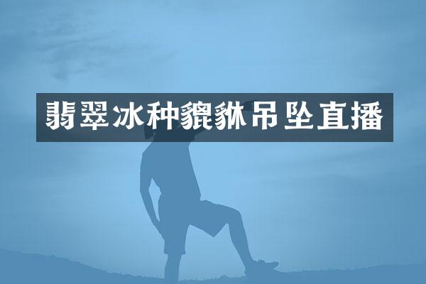 翡翠冰种貔貅吊坠直播