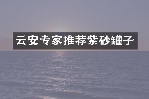 云安专家推荐紫砂罐子