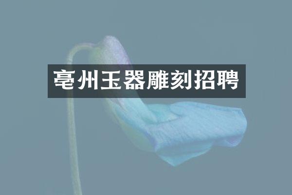 亳州玉器雕刻招聘