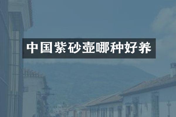 中国紫砂壶哪种好养