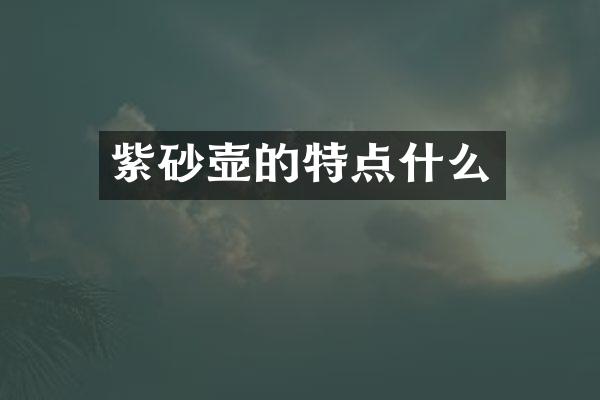 紫砂壶的特点什么