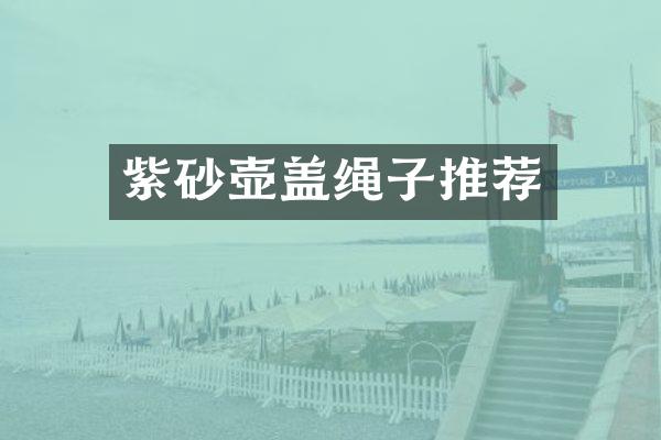 紫砂壶盖绳子推荐