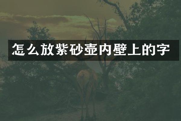 怎么放紫砂壶内壁上的字
