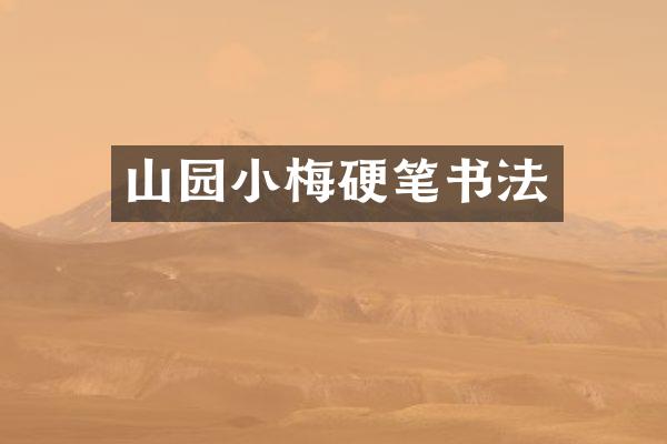 山园小梅硬笔书法
