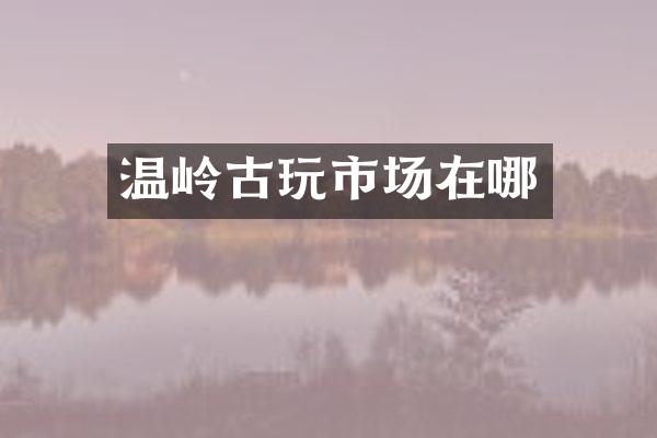 温岭古玩市场在哪