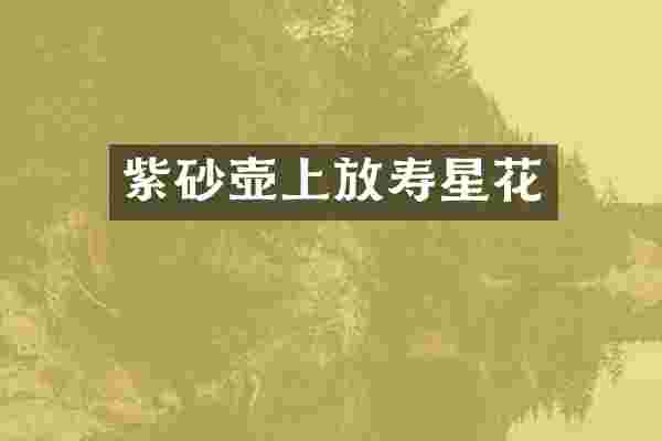 紫砂壶上放寿星花