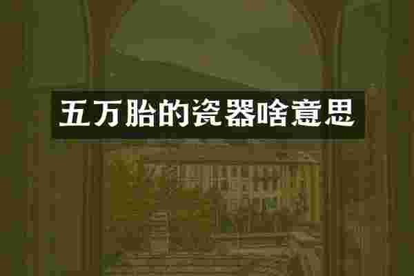 五万胎的瓷器啥意思