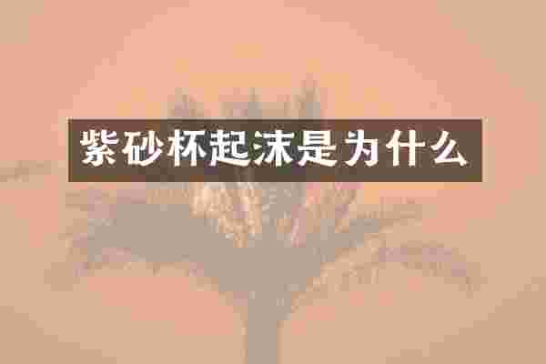 紫砂杯起沫是为什么