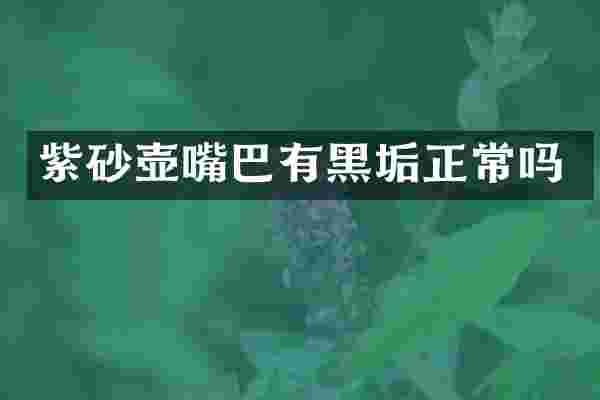 紫砂壶嘴巴有黑垢正常吗