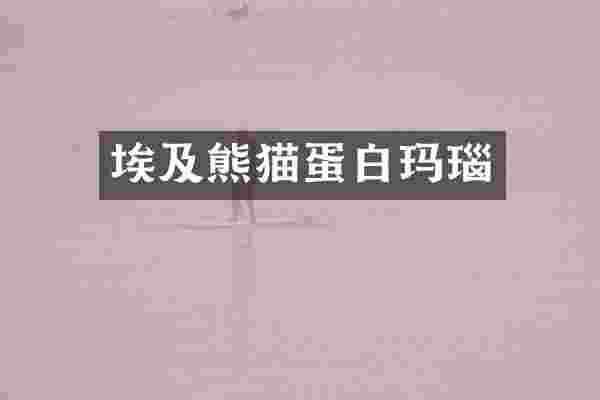埃及熊猫蛋白玛瑙