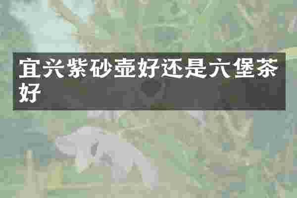 宜兴紫砂壶好还是六堡茶好