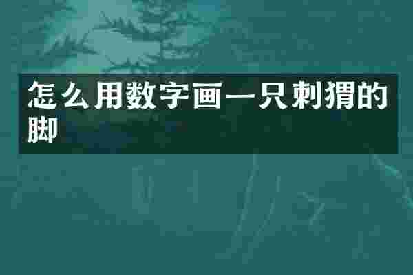 怎么用数字画一只刺猬的脚