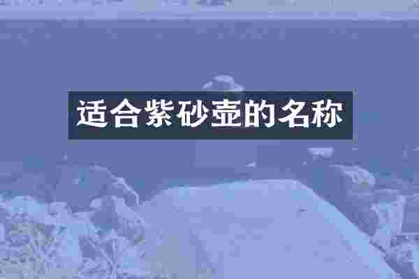 适合紫砂壶的名称