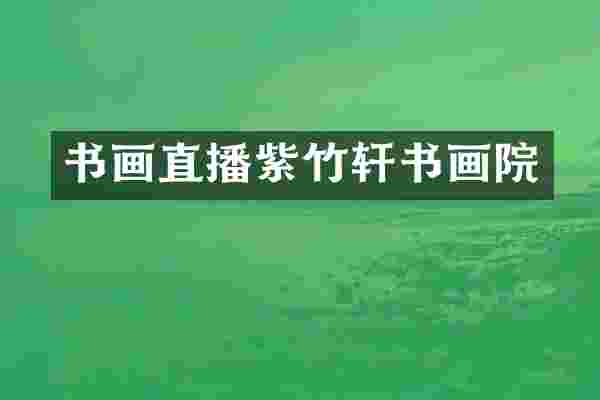 书画直播紫竹轩书画院