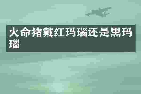 火命猪戴红玛瑙还是黑玛瑙