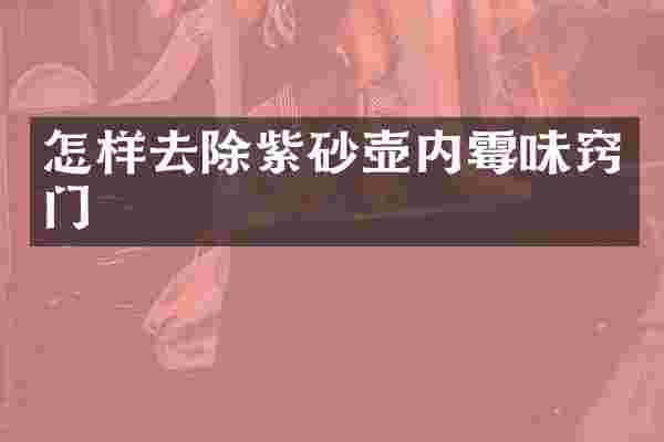 怎样去除紫砂壶内霉味窍门