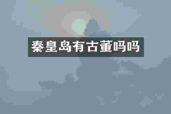 秦皇岛有古董吗吗
