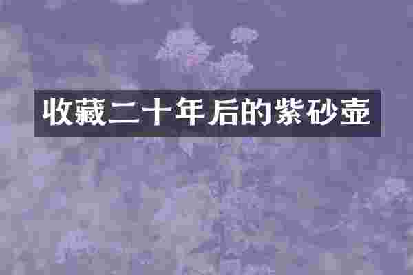 收藏二十年后的紫砂壶
