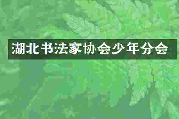 湖北书法家协会少年分会