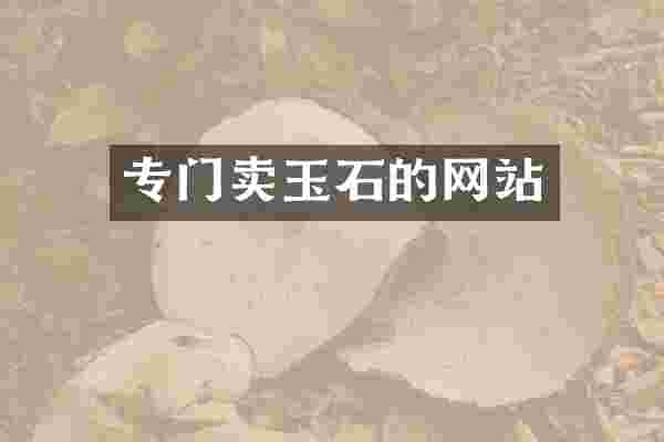 专门卖玉石的网站