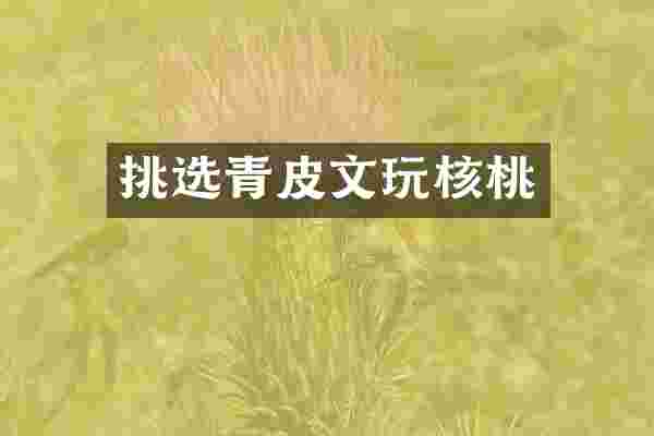 挑选青皮文玩核桃