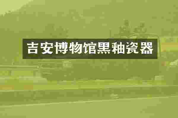 吉安博物馆黑釉瓷器