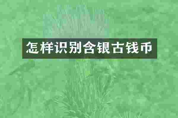 怎样识别含银古钱币