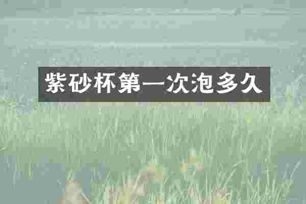 紫砂杯第一次泡多久
